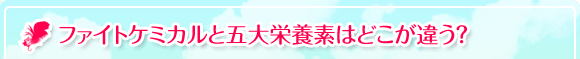 ファイトケミカルと五大栄養素はどこが違う？