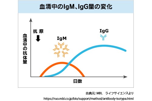 コロナ 不 活化 日数